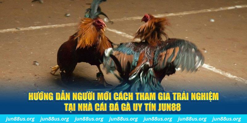 ae 88 loi game dot kich ket noi may chu that bai