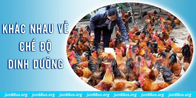 ae 88 xổ số miền nam thứ năm hàng tuần