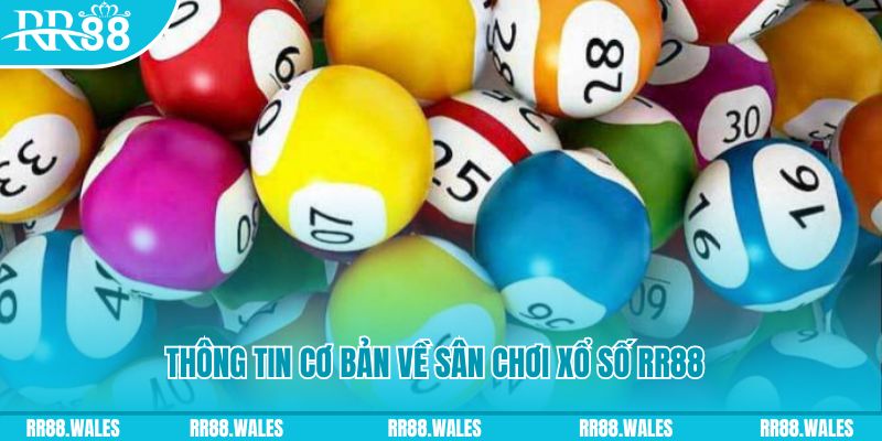 ae 88 đá gà hôm nay