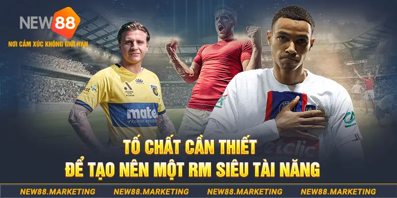 ae 88 đá gà thomo