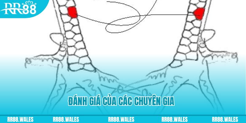 ae 88 V8 Game Bài 3d