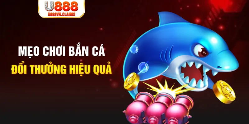 ae 88 baccarat có hợp pháp không