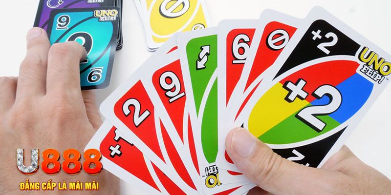 ae 88 gà chọi cu cần