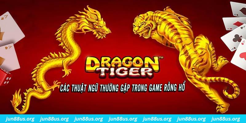 ae 88 ÁT CHỦ BÀI ĐẤU ĐỊA CHỦ