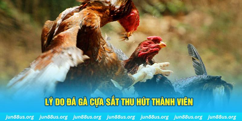 ae 88 chiếm slot là gì