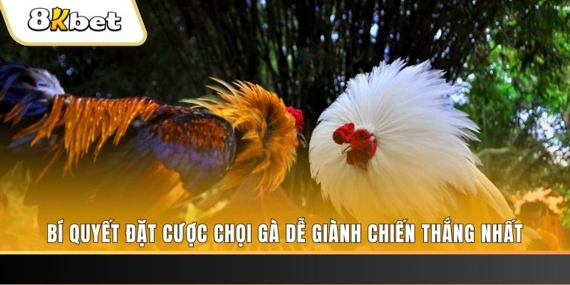 ae 88 xổ số thứ hai hàng tuần