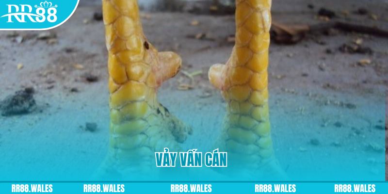 ae 88 đăng nhập nổ hũ hôm nay