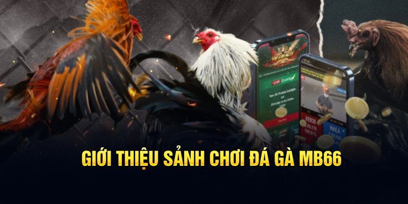 ae 88 đăng nhập poker hôm nay