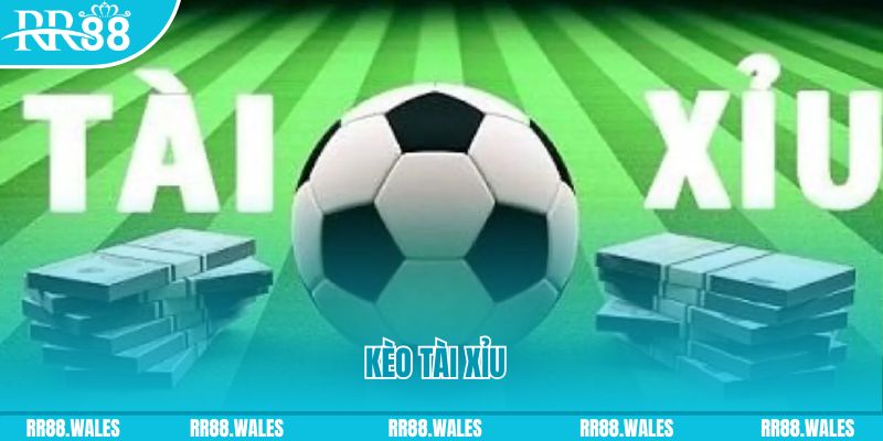 Giành Chủ Bull Bull